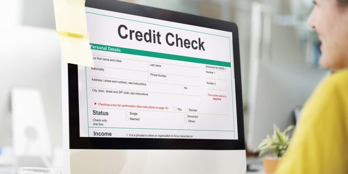 A woman conducts a credit check